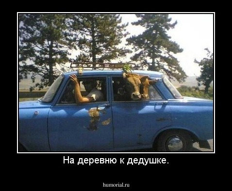 На деревню к дедушке.