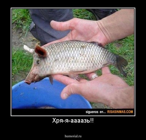 Хря-я-аааазь!!