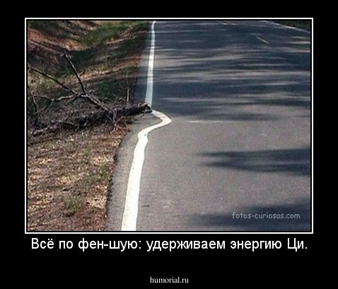 Всё по фен-шую: удерживаем энергию Ци.