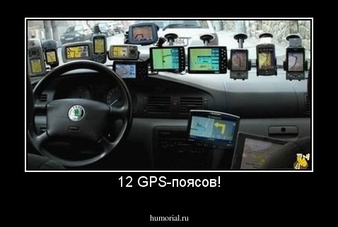 12 GPS-поясов!