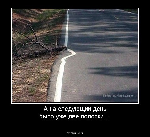 А на следующий день было уже две полоски...