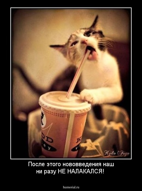После этого нововведения наш ни разу НЕ НАЛАКАЛСЯ!