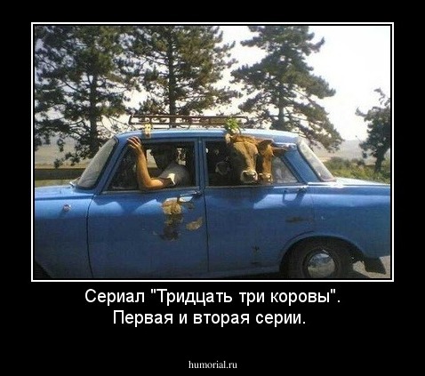 Сериал "Тридцать три коровы". Первая и вторая серии.
