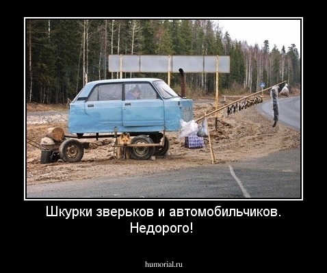 Шкурки зверьков и автомобильчиков. Недорого!