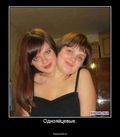 Однояйцевые.
