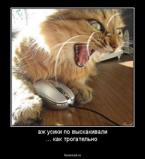 аж усики по выскакивали ... как трогательно
