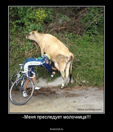 -Меня преследует молочница!!!