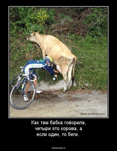 Как там бабка говорила, четыри это корова, а если один, то беги.