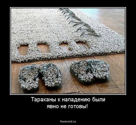 Тараканы к нападению были явно не готовы!