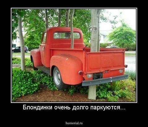 Блондинки очень долго паркуются...