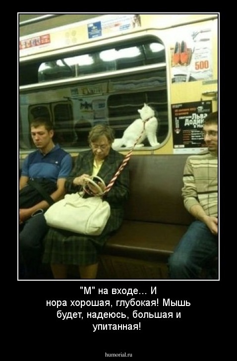 "М" на входе... И нора хорошая, глубокая! Мышь будет, надеюсь, большая и упитанная!