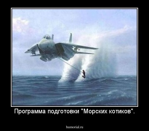 Программа подготовки "Морских котиков".