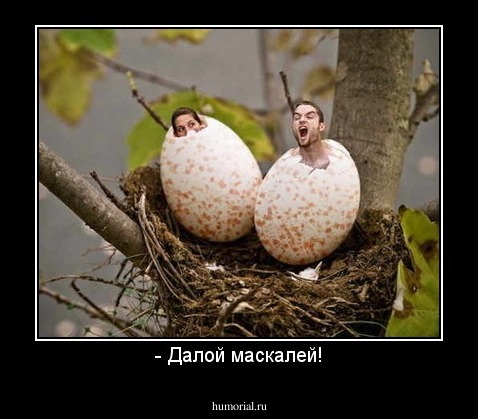 - Далой маскалей!