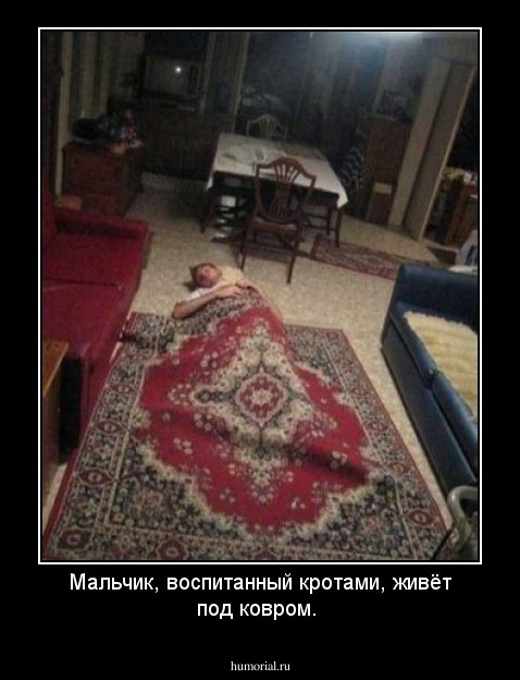 Мальчик, воспитанный кротами, живёт под ковром.