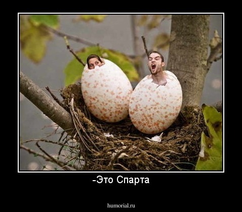 -Это Спарта