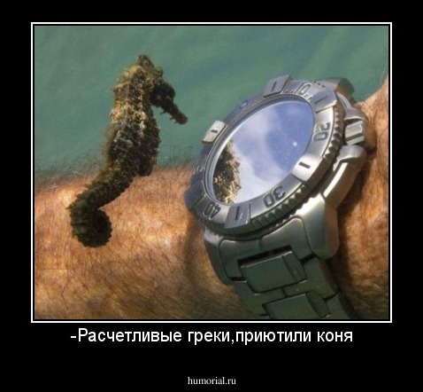 -Расчетливые греки,приютили коня