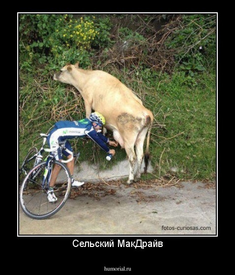 Сельский МакДрайв