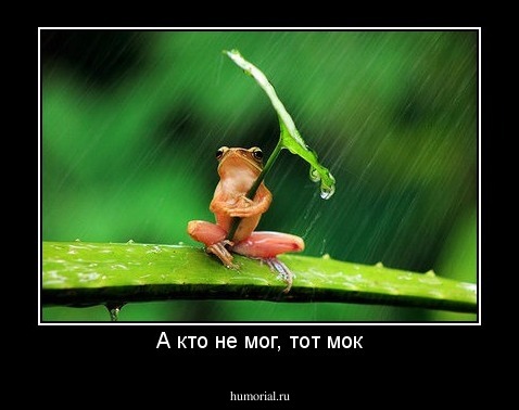 А кто не мог, тот мок