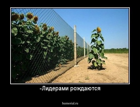 -Лидерами рождаются