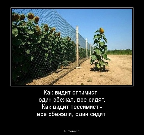 Как видит оптимист - один сбежал, все сидят.  Как видит пессимист - все сбежали, один сидит