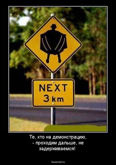 Те, кто на демонстрацию, - проходим дальше, не задерживаемся!