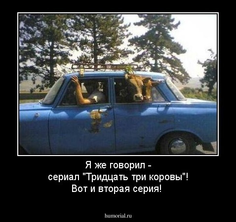 Я же говорил - сериал "Тридцать три коровы"! Вот и вторая серия!