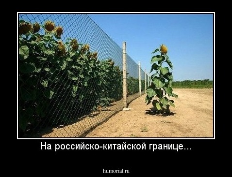 На российско-китайской границе...