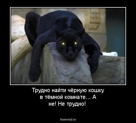 Трудно найти чёрную кошку в тёмной комнате... А не! Не трудно!