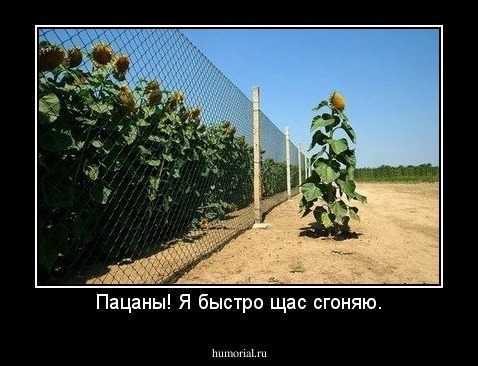 Пацаны! Я быстро щас сгоняю.