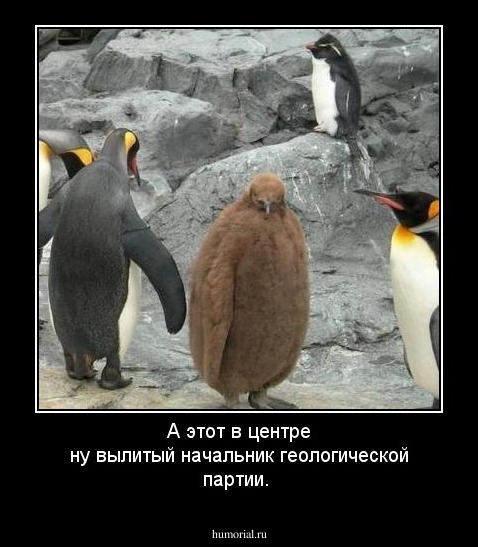 А этот в центре ну вылитый начальник геологической партии.