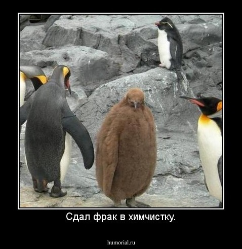 Сдал фрак в химчистку.