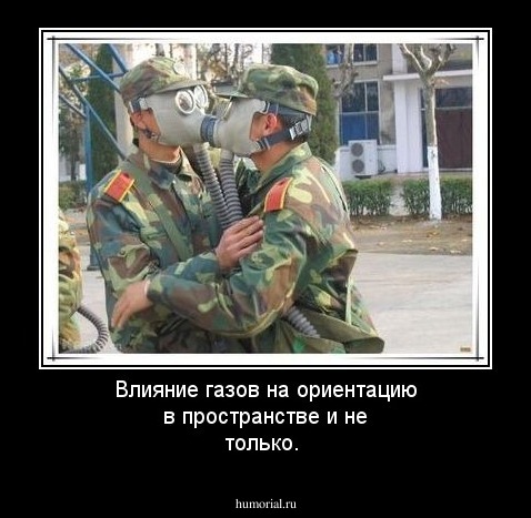 Влияние газов на ориентацию в пространстве и не только.