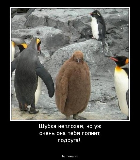Шубка неплохая, но уж очень она тебя полнит, подруга!