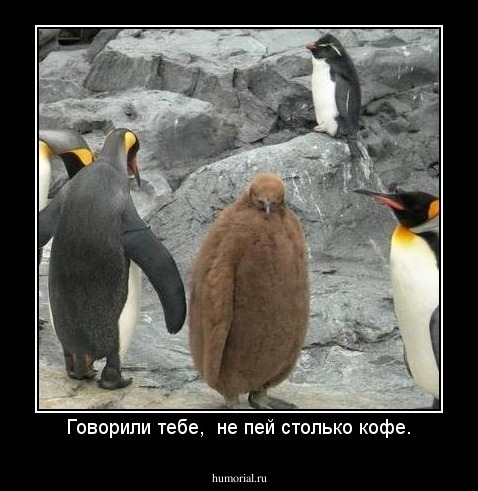 Говорили тебе,  не пей столько кофе.