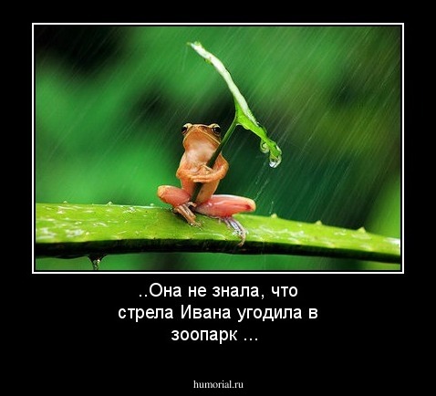 ..Она  не  знала,  что  стрела  Ивана  угодила  в  зоопарк ...