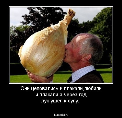 Они целовались и плакали,любили и плакали,а через год лук ушел к супу.
