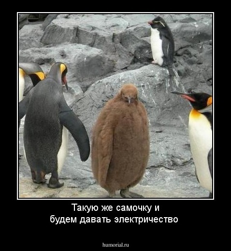 Такую же самочку и будем давать электричество 