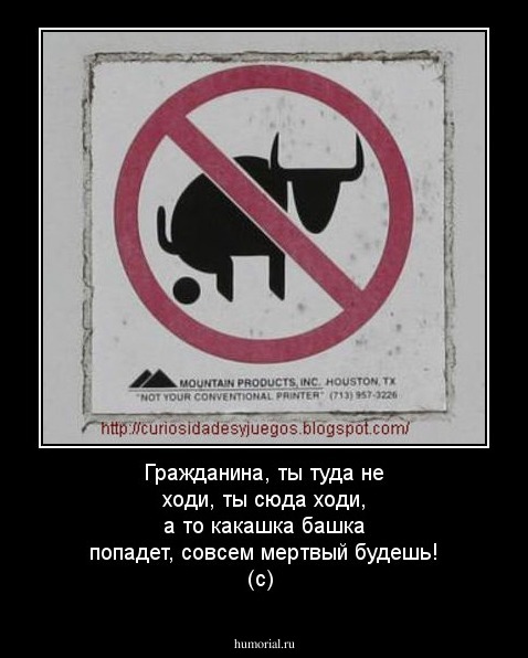Гражданина, ты туда не ходи, ты сюда ходи, а то какашка башка попадет, совсем мертвый будешь! (с)
