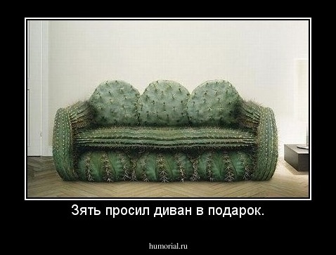 Зять просил диван в подарок.