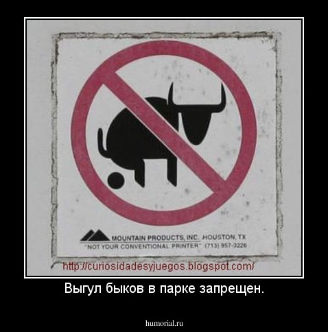 Выгул быков в парке запрещен.