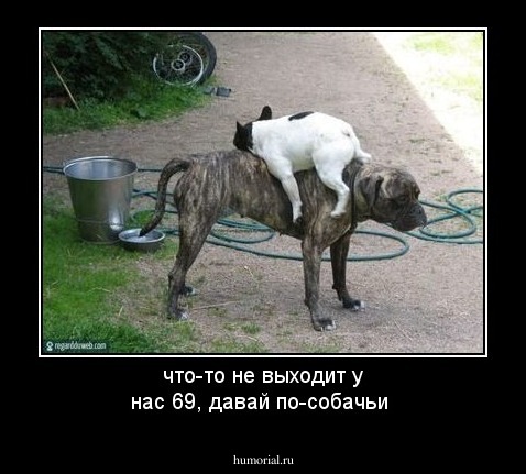 что-то не выходит у нас 69,  давай по-собачьи 