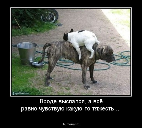 Вроде выспался, а всё равно чувствую какую-то тяжесть...