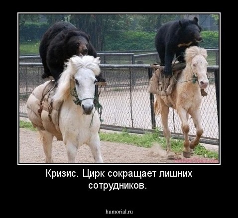 Кризис. Цирк сокращает лишних сотрудников. 
