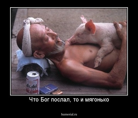 Что Бог послал, то и мягонько