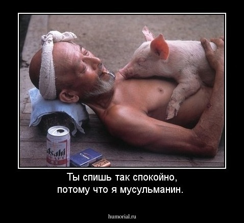 Ты спишь так спокойно, потому что я мусульманин.