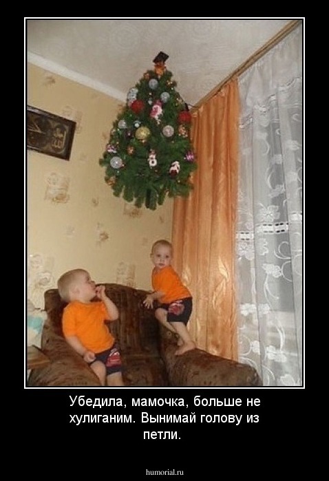 Убедила, мамочка, больше не хулиганим. Вынимай голову из петли.