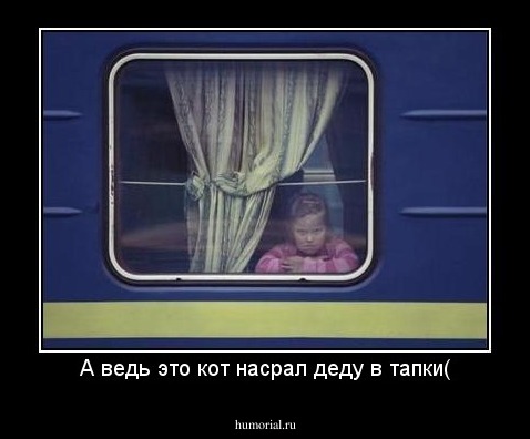 А ведь это кот насрал деду в тапки(