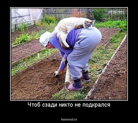 Чтоб сзади никто не подкрался