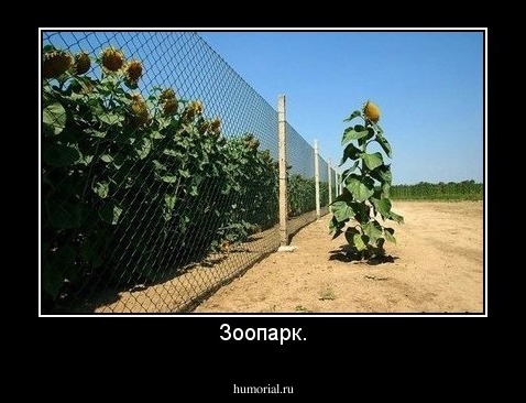 Зоопарк.