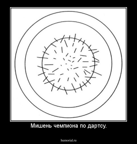 Мишень чемпиона по дартсу.